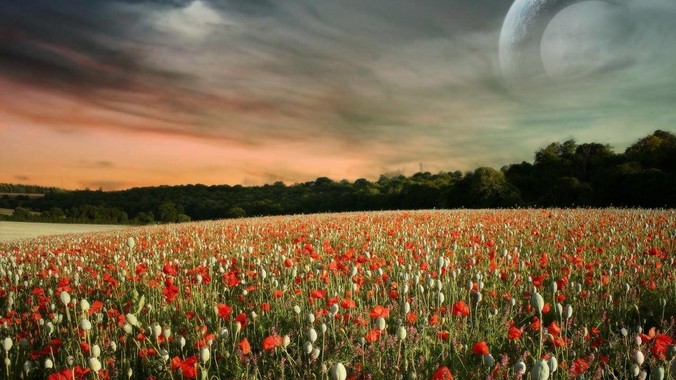 为什么有人不信狗肉馆会偷狗?